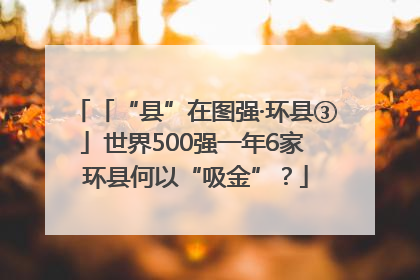 「“县”在图强·环县③」世界500强一年6家 环县何以“吸金”？