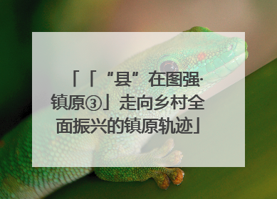 「“县”在图强·镇原③」走向乡村全面振兴的镇原轨迹