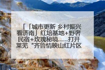 「城市更新 乡村振兴看济南」红培基地+野奢民宿+玫瑰秘境……打开莱芜“齐鲁情映山红片区”的破圈秘籍