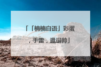 「楠楠自语」彩蛋，手雷，邋遢帅