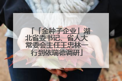 「金种子企业」湖北省委书记、省人大常委会主任王忠林一行到依瑞德调研