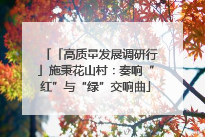 「高质量发展调研行」施秉花山村：奏响“红”与“绿”交响曲