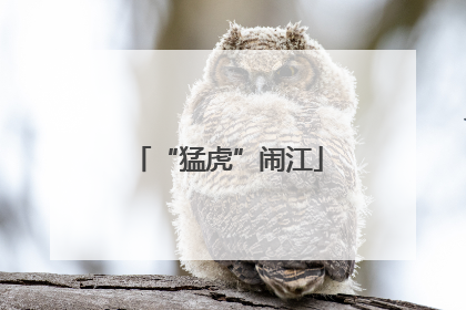“猛虎”闹江