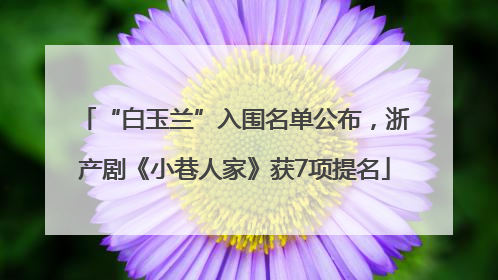 “白玉兰”入围名单公布，浙产剧《小巷人家》获7项提名