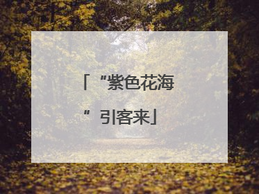 “紫色花海”引客来