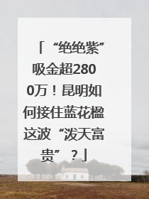 “绝绝紫”吸金超2800万！昆明如何接住蓝花楹这波“泼天富贵”？