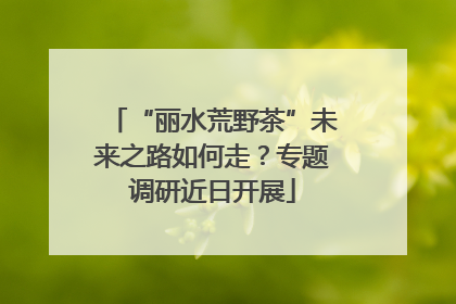 “丽水荒野茶”未来之路如何走？专题调研近日开展
