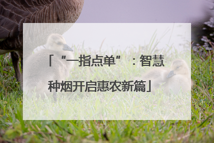 “一指点单”：智慧种烟开启惠农新篇