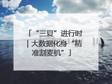 “三夏”进行时｜大数据化身“精准割麦机”