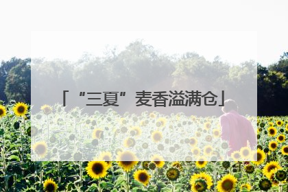 “三夏”麦香溢满仓