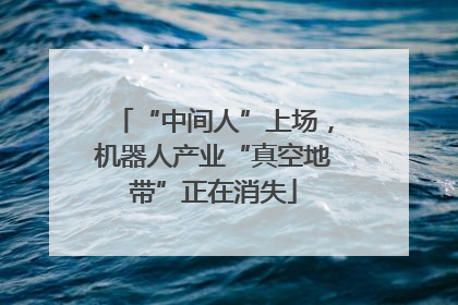 “中间人”上场，机器人产业“真空地带”正在消失