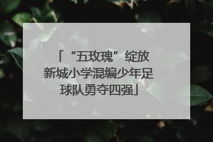 “五玫瑰”绽放 新城小学混编少年足球队勇夺四强