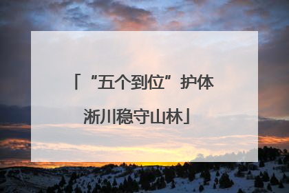 “五个到位”护体 淅川稳守山林