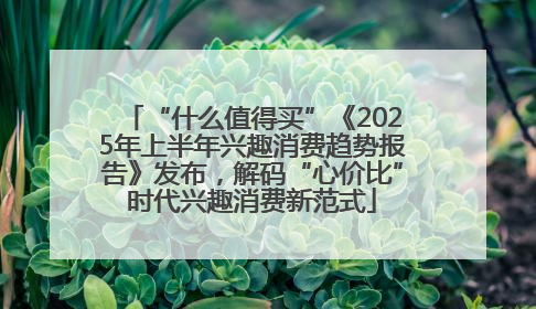 “什么值得买”《2025年上半年兴趣消费趋势报告》发布，解码“心价比”时代兴趣消费新范式