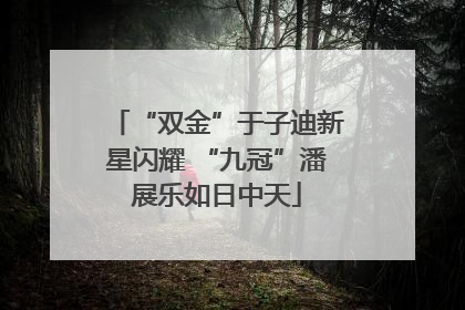 “双金”于子迪新星闪耀 “九冠”潘展乐如日中天