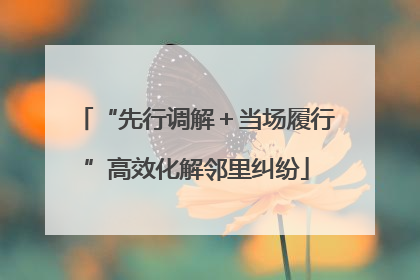“先行调解＋当场履行”高效化解邻里纠纷