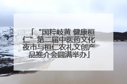 “国粹岐黄 健康桓仁”第二届中医药文化夜市与桓仁农礼文创产品推介会圆满举办
