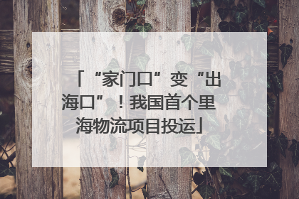 “家门口”变“出海口”！我国首个里海物流项目投运