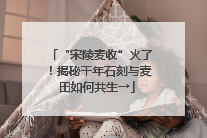 “宋陵麦收”火了！揭秘千年石刻与麦田如何共生→