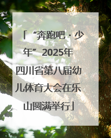 “奔跑吧・少年”2025年四川省第八届幼儿体育大会在乐山圆满举行