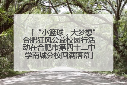 “小篮球，大梦想”合肥狂风公益校园行活动在合肥市第四十二中学南城分校圆满落幕