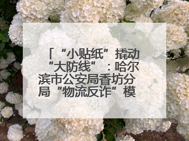 “小贴纸”撬动“大防线”：哈尔滨市公安局香坊分局“物流反诈”模式守护群众“钱袋子”