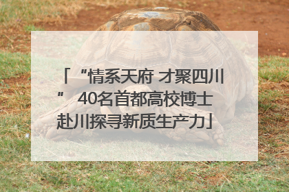 “情系天府 才聚四川” 40名首都高校博士赴川探寻新质生产力