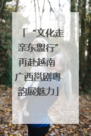 “文化走亲东盟行”再赴越南 广西邕剧粤韵展魅力