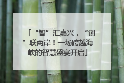 “智”汇嘉兴，“创”联两岸！一场跨越海峡的智慧盛宴开启