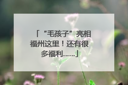 “毛孩子”亮相福州这里！还有很多福利……