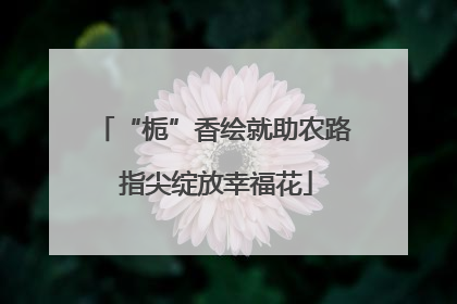 “栀”香绘就助农路 指尖绽放幸福花
