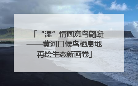 “湿”情画意鸟翩跹——黄河口候鸟栖息地再绘生态新画卷
