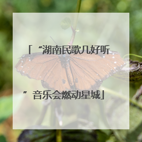 “湖南民歌几好听”音乐会燃动星城