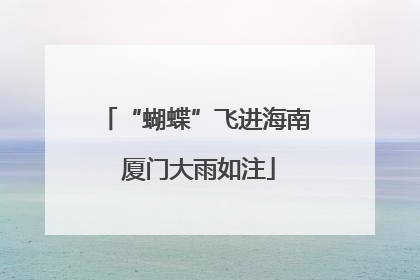 “蝴蝶”飞进海南 厦门大雨如注