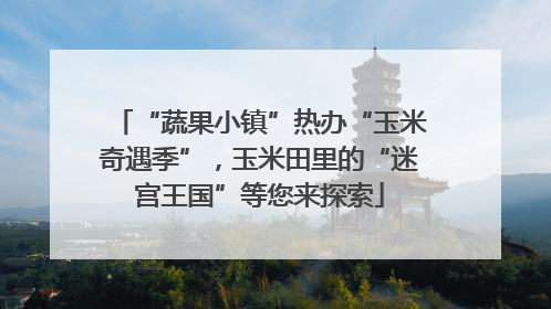 “蔬果小镇”热办“玉米奇遇季”，玉米田里的“迷宫王国”等您来探索