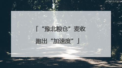 “豫北粮仓”麦收跑出“加速度”