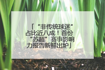 “非传统球迷”占比近八成！首份“苏超”赛事影响力报告新鲜出炉