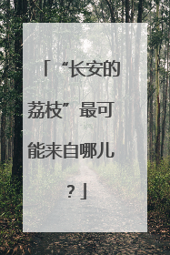 “长安的荔枝”最可能来自哪儿？