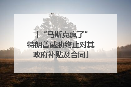 “马斯克疯了” 特朗普威胁终止对其政府补贴及合同