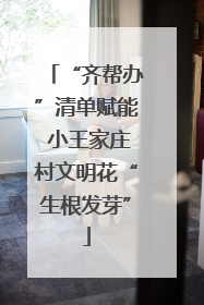 “齐帮办”清单赋能 小王家庄村文明花“生根发芽”