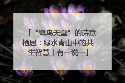 “鹭鸟天堂”的诗意栖居：绿水青山中的共生智慧丨有一说一