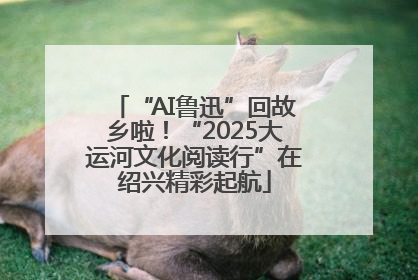 “AI鲁迅”回故乡啦！“2025大运河文化阅读行”在绍兴精彩起航