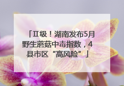 Ⅱ级！湖南发布5月野生蘑菇中毒指数，4县市区“高风险”