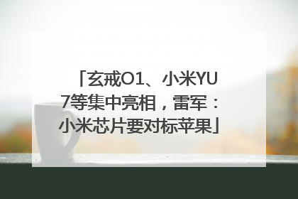 玄戒O1、小米YU7等集中亮相，雷军：小米芯片要对标苹果