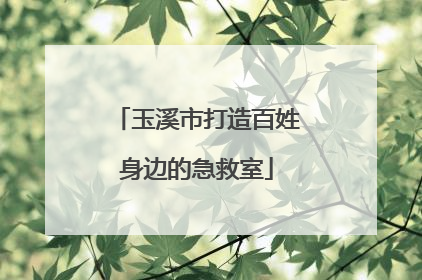 玉溪市打造百姓身边的急救室