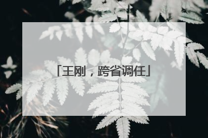 王刚，跨省调任