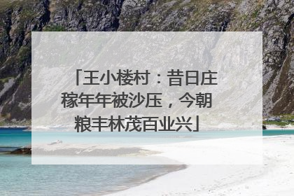 王小楼村：昔日庄稼年年被沙压，今朝粮丰林茂百业兴