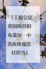 王毅会见英国前首相布莱尔：中英应体现责任担当