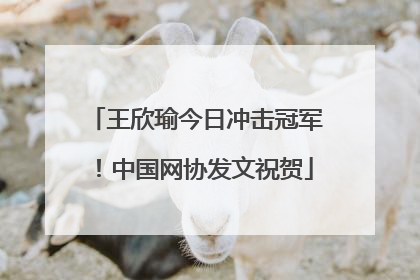 王欣瑜今日冲击冠军！中国网协发文祝贺