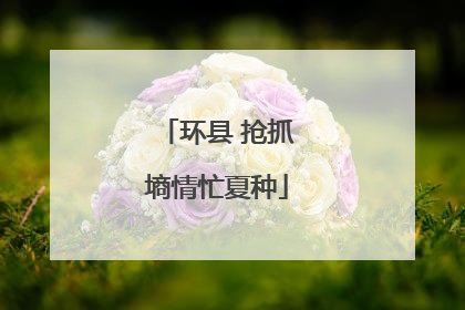 环县 抢抓墒情忙夏种